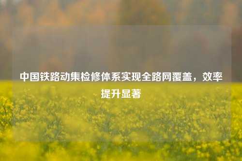 中国铁路动集检修体系实现全路网覆盖,效率提升显著