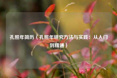 孔照年简历（孔照年研究方法与实践：从入门到精通）