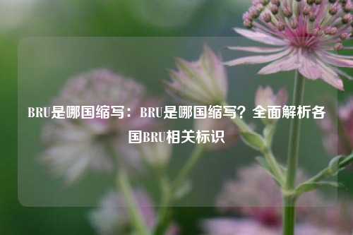 BRU是哪国缩写:BRU是哪国缩写?全面解析各国BRU相关标识