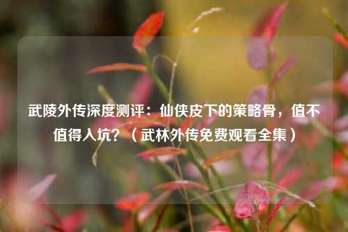 武陵外传深度测评：仙侠皮下的策略骨，值不值得入坑？（武林外传免费观看全集）