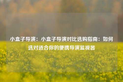 小盒子导演:小盒子导演对比选购指南:如何选对适合你的便携导演监视器