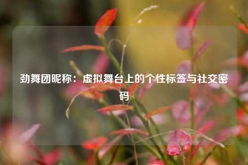 劲舞团昵称:虚拟舞台上的个性标签与社交密码