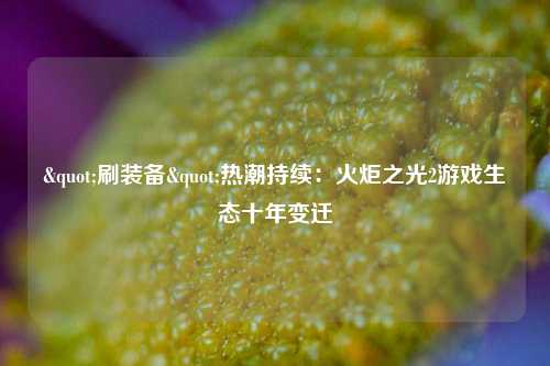 "刷装备"热潮持续：火炬之光2游戏生态十年变迁