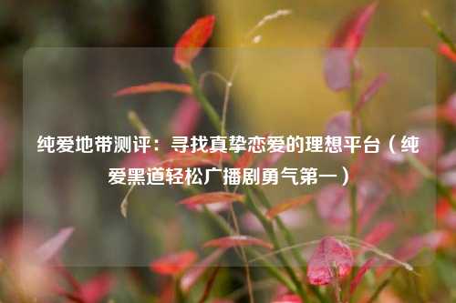 纯爱地带测评:寻找真挚恋爱的理想平台(纯爱黑道轻松广播剧勇气第一)