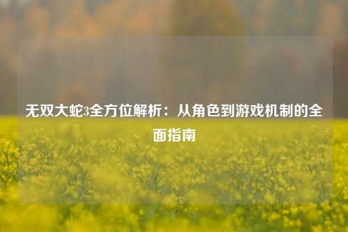 无双大蛇3全方位解析:从角色到游戏机制的全面指南